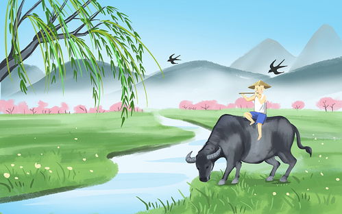 湖州吳興區(qū)同城特色服務(wù)資源與網(wǎng)絡(luò)技術(shù)概述